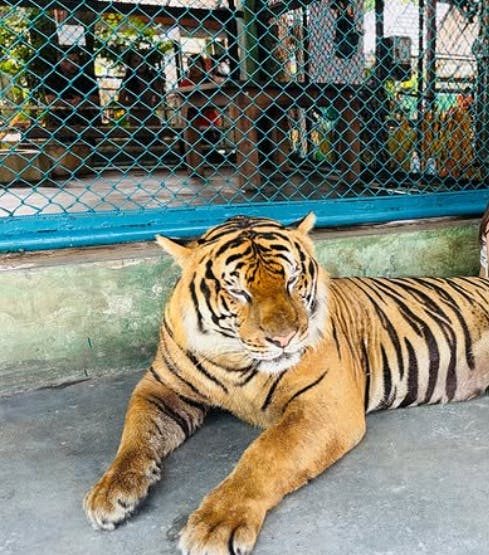 Safari World Bangkok